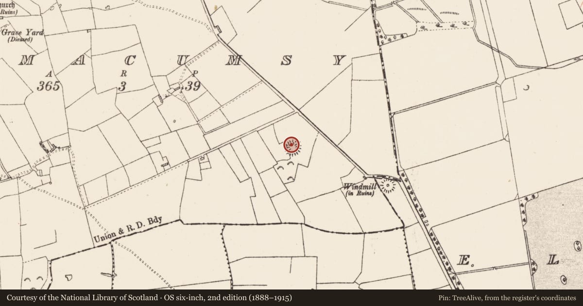 Ordnance Survey six-inch map, 2nd edition (1888–1915) covering the location of Ringfort - rath, Kilmacumsy, County Roscommon, with a pin at the register's coordinates