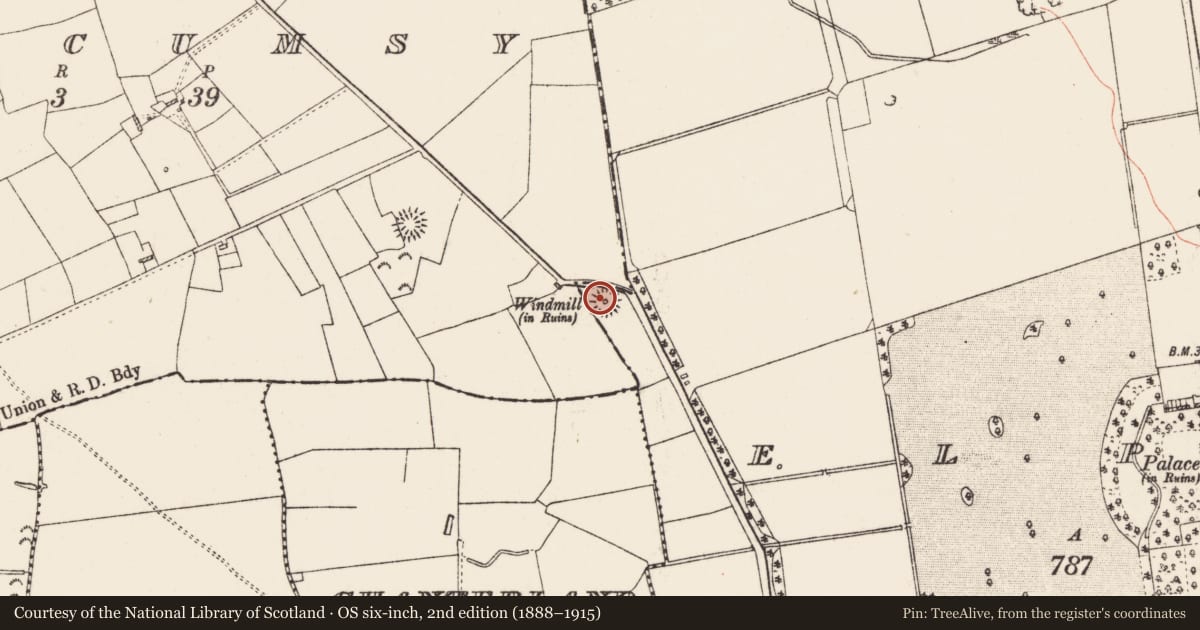 Ordnance Survey six-inch map, 2nd edition (1888–1915) covering the location of Windmill, Elphin, County Roscommon, with a pin at the register's coordinates
