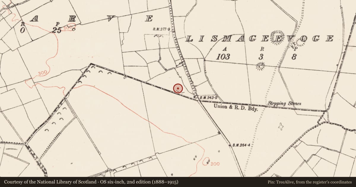 Ordnance Survey six-inch map, 2nd edition (1888–1915) covering the location of Ringfort - rath, Corgarve, County Roscommon, with a pin at the register's coordinates