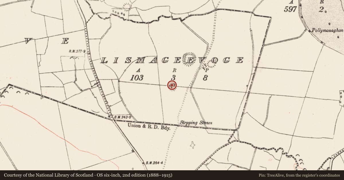 Ordnance Survey six-inch map, 2nd edition (1888–1915) covering the location of Ringfort - rath, Lismageevoge, County Roscommon, with a pin at the register's coordinates