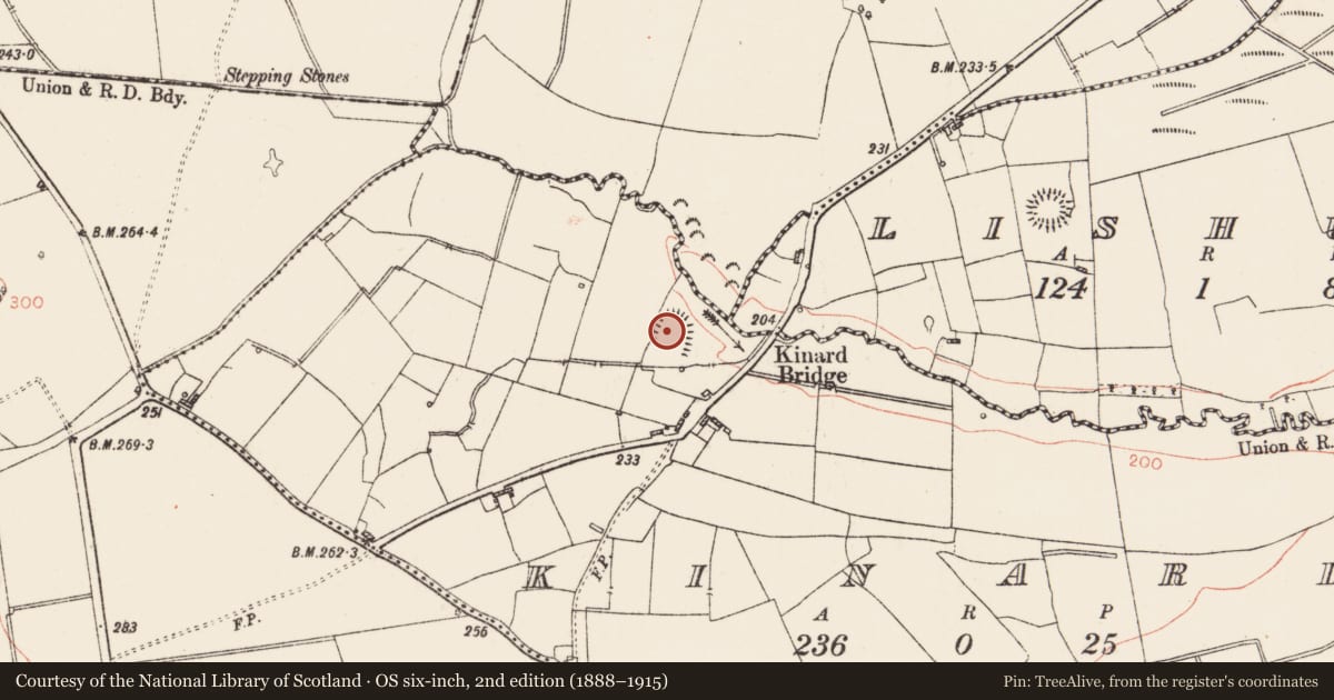 Ordnance Survey six-inch map, 2nd edition (1888–1915) covering the location of Ringfort - rath, Kinard, County Roscommon, with a pin at the register's coordinates