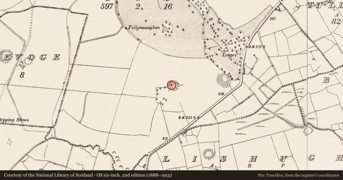 Ordnance Survey six-inch map, 2nd edition (1888–1915) covering the location of Ringfort - rath, Lissadorn, County Roscommon, with a pin at the register's coordinates