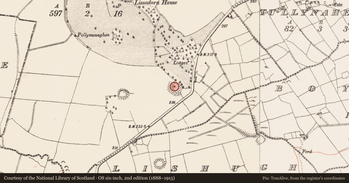Ordnance Survey six-inch map, 2nd edition (1888–1915) covering the location of Ringfort - rath, Lissadorn, County Roscommon, with a pin at the register's coordinates