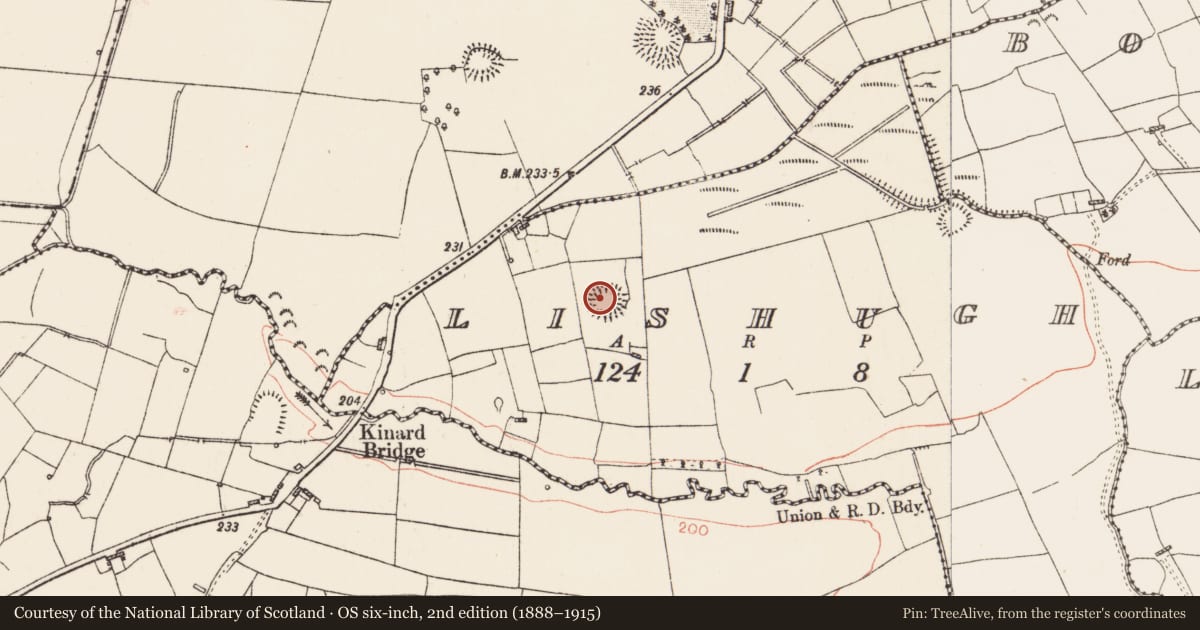 Ordnance Survey six-inch map, 2nd edition (1888–1915) covering the location of Ringfort - rath, Lishugh, County Roscommon, with a pin at the register's coordinates
