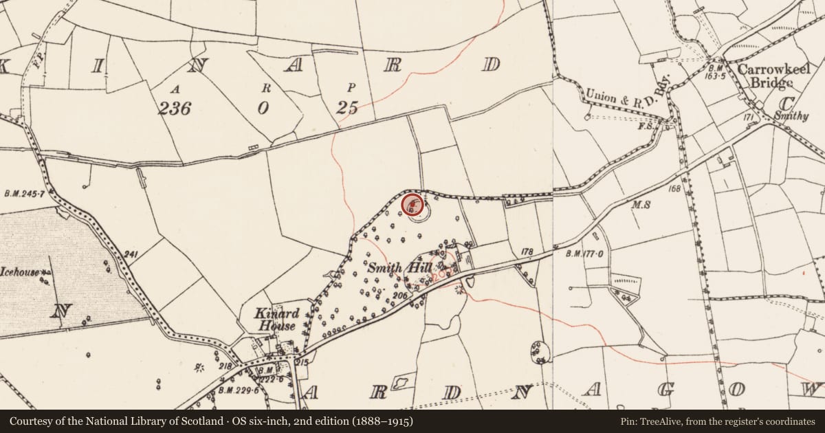 Ordnance Survey six-inch map, 2nd edition (1888–1915) covering the location of Designed landscape - tree-ring, Ardnagowna, County Roscommon, with a pin at the register's coordinates