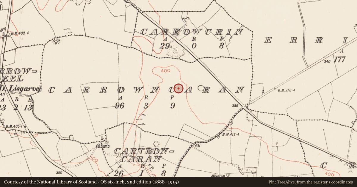 Ordnance Survey six-inch map, 2nd edition (1888–1915) covering the location of Field system, Carrowncaran, County Roscommon, with a pin at the register's coordinates
