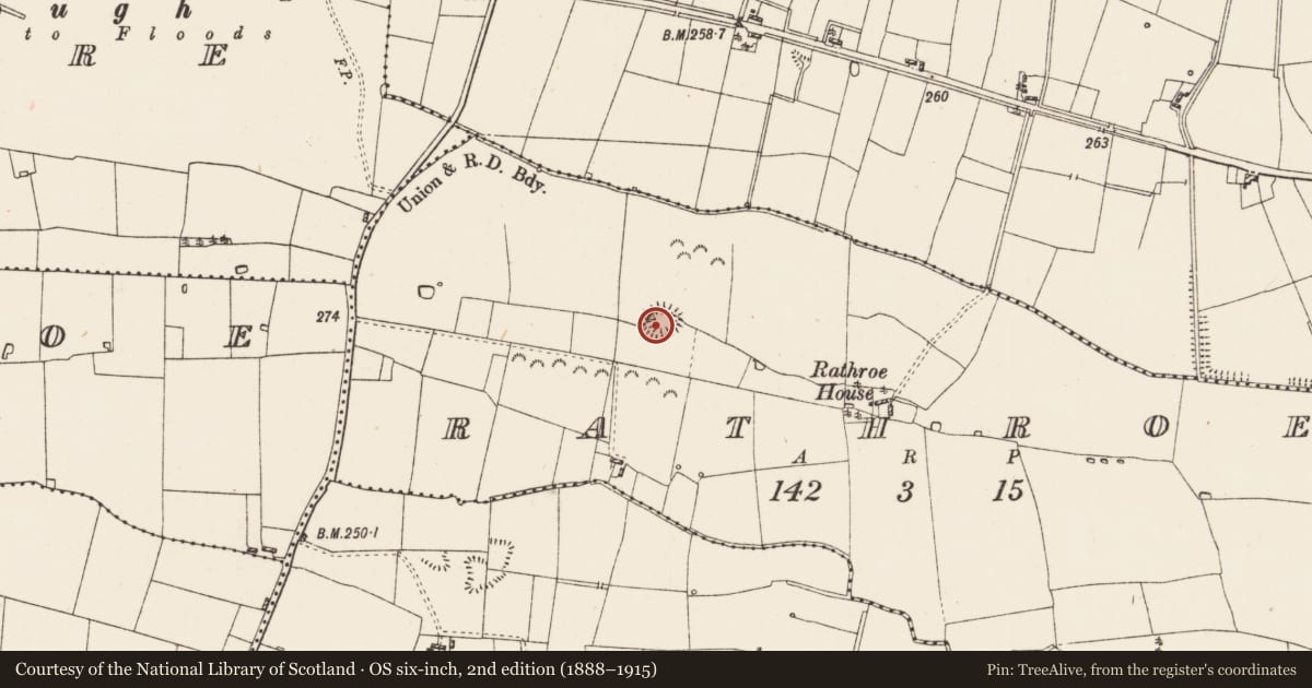 Ordnance Survey six-inch map, 2nd edition (1888–1915) covering the location of Ringfort - rath, Rathroe, County Roscommon, with a pin at the register's coordinates
