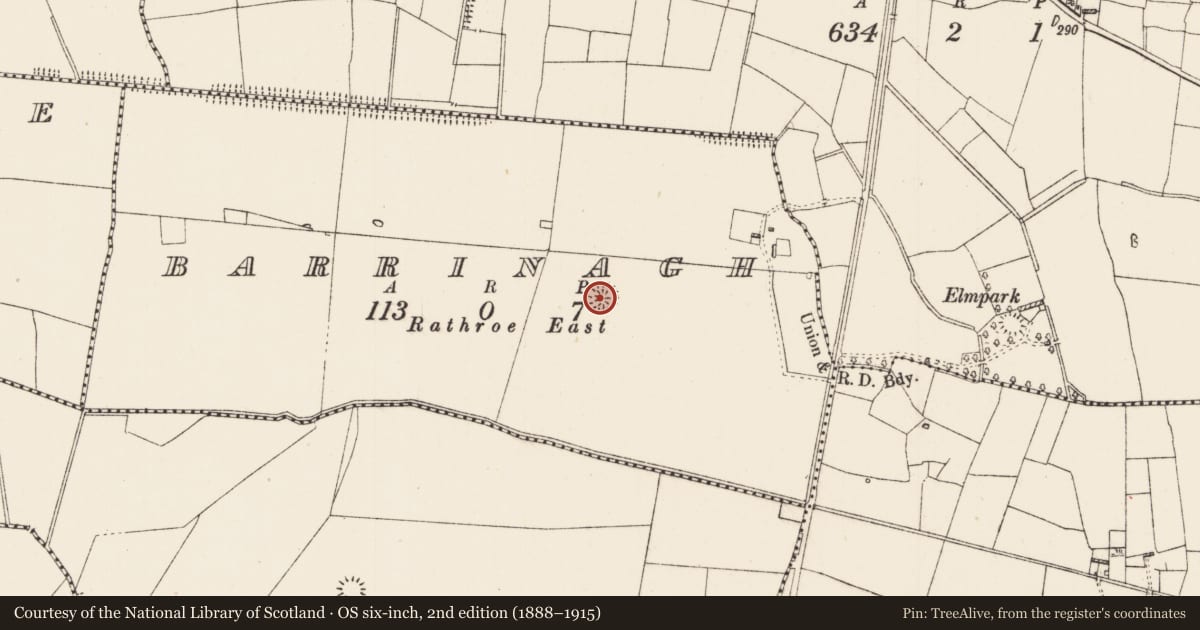 Ordnance Survey six-inch map, 2nd edition (1888–1915) covering the location of Ringfort - rath, Barrinagh, County Roscommon, with a pin at the register's coordinates