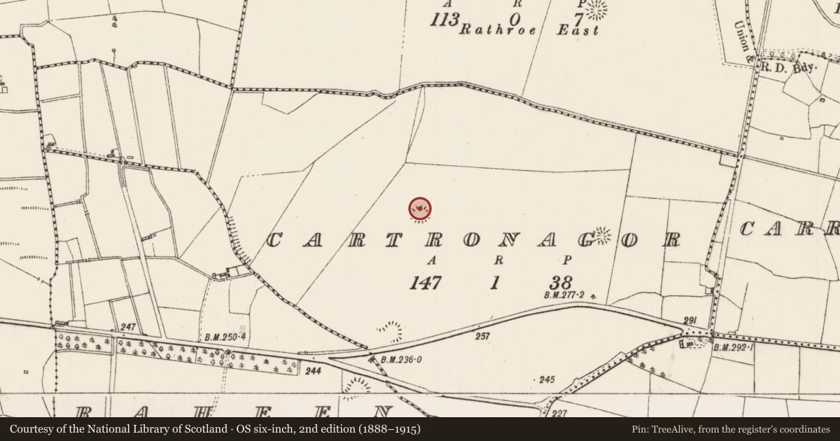 Ordnance Survey six-inch map, 2nd edition (1888–1915) covering the location of Ringfort - rath, Cartronagor, County Roscommon, with a pin at the register's coordinates