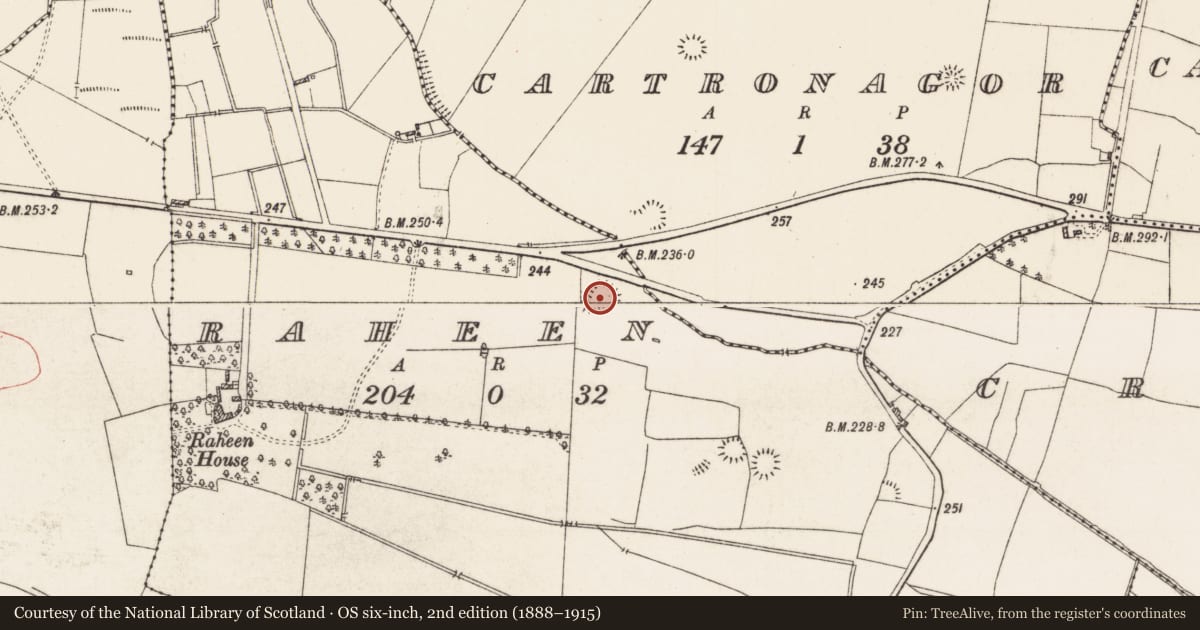 Ordnance Survey six-inch map, 2nd edition (1888–1915) covering the location of Ringfort - rath, Raheen, County Roscommon, with a pin at the register's coordinates