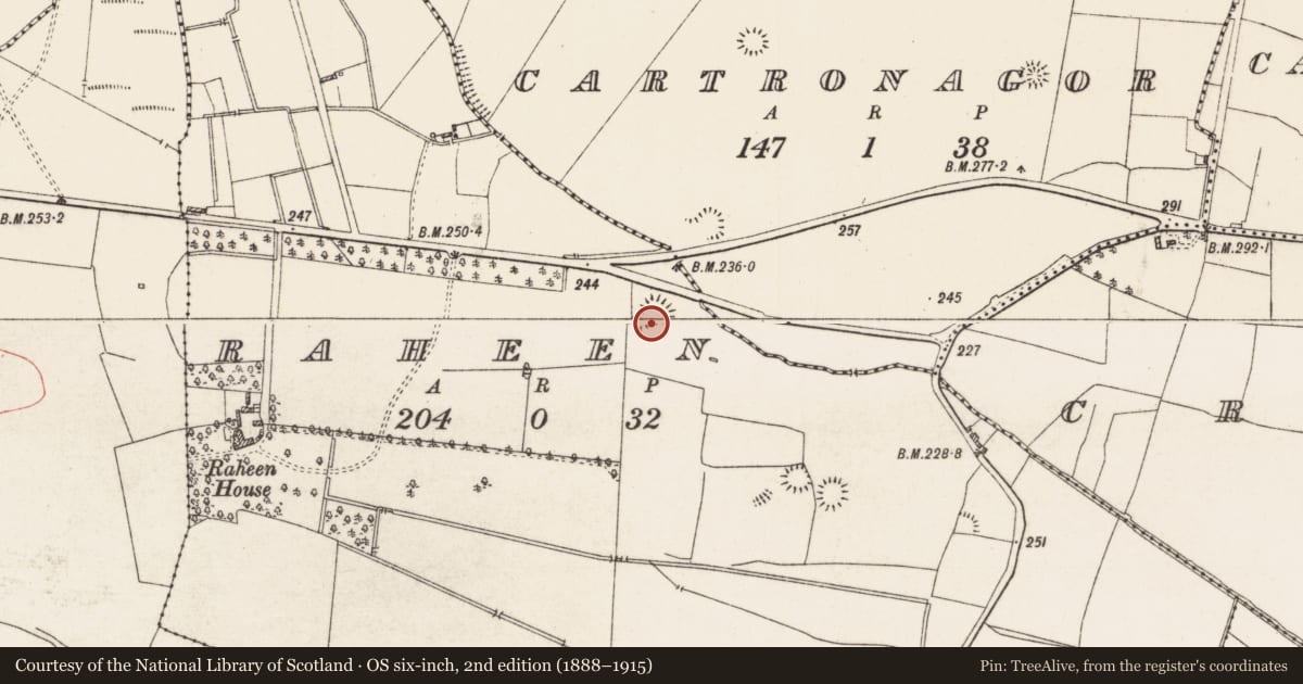 Ordnance Survey six-inch map, 2nd edition (1888–1915) covering the location of Enclosure, Raheen, County Roscommon, with a pin at the register's coordinates