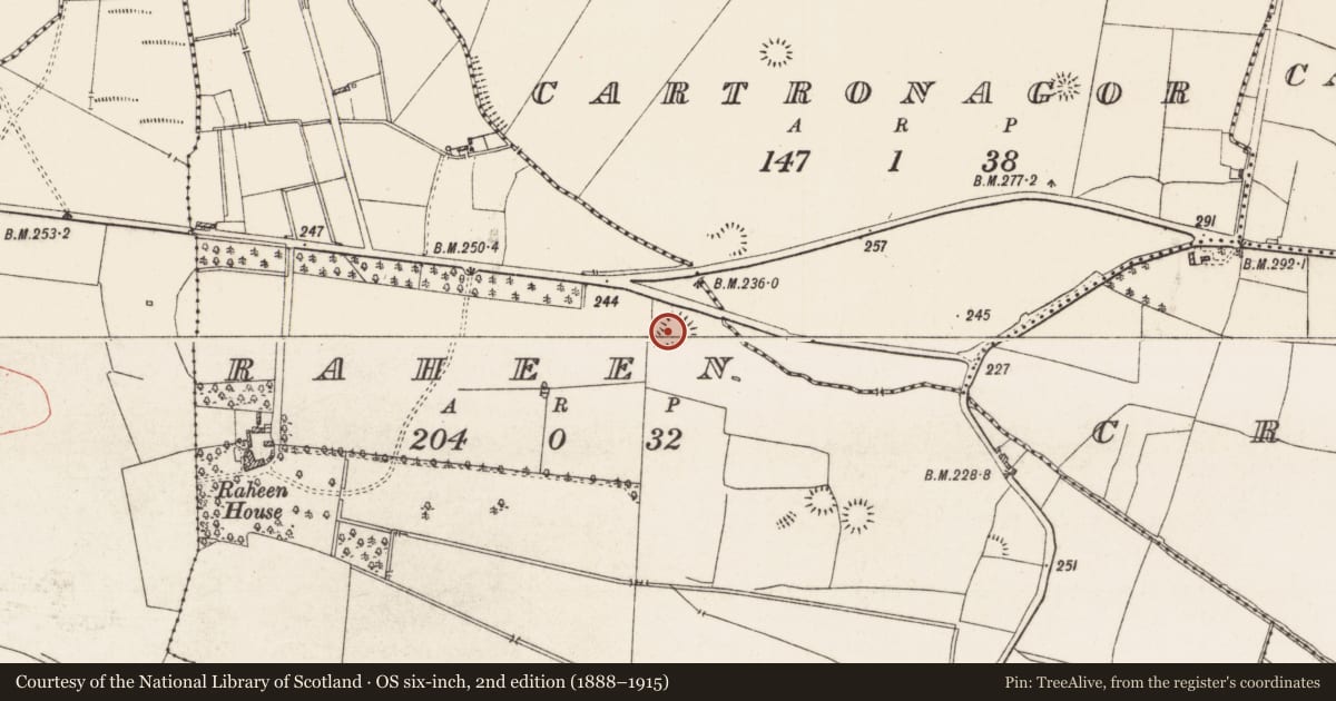 Ordnance Survey six-inch map, 2nd edition (1888–1915) covering the location of House - indeterminate date, Raheen, County Roscommon, with a pin at the register's coordinates