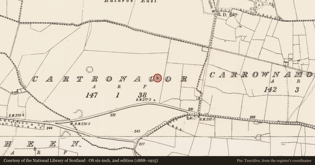 Ordnance Survey six-inch map, 2nd edition (1888–1915) covering the location of Ringfort - rath, Cartronagor, County Roscommon, with a pin at the register's coordinates