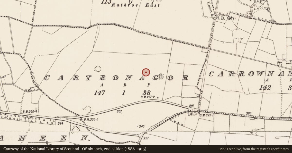 Ordnance Survey six-inch map, 2nd edition (1888–1915) covering the location of Road - road/trackway, Cartronagor, County Roscommon, with a pin at the register's coordinates