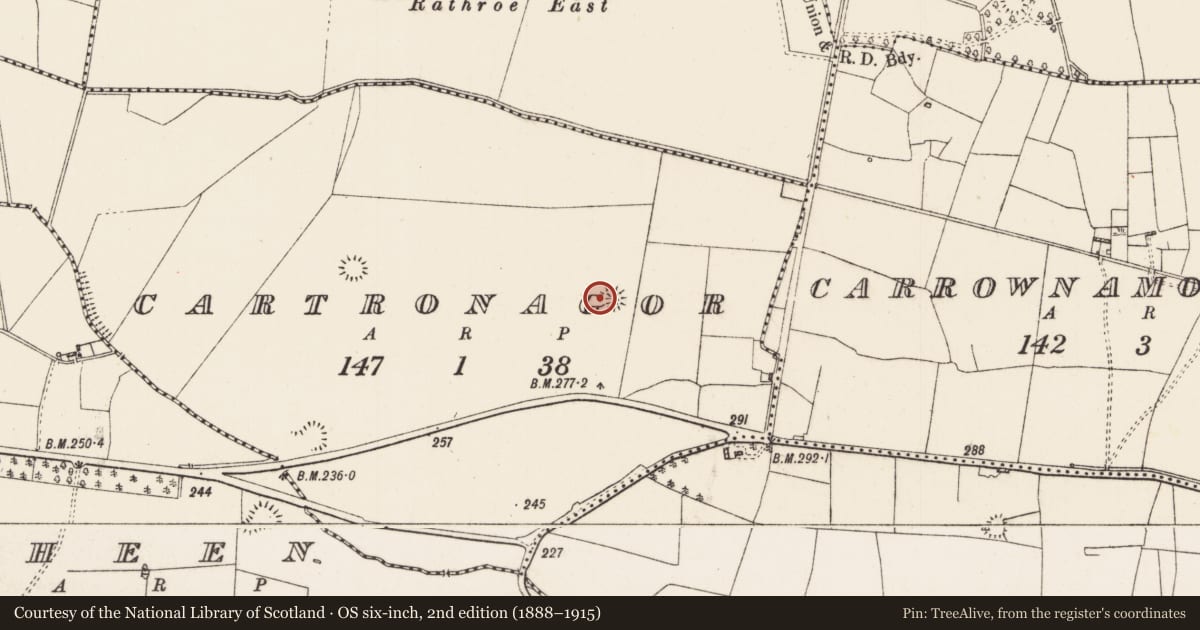Ordnance Survey six-inch map, 2nd edition (1888–1915) covering the location of Enclosure, Cartronagor, County Roscommon, with a pin at the register's coordinates