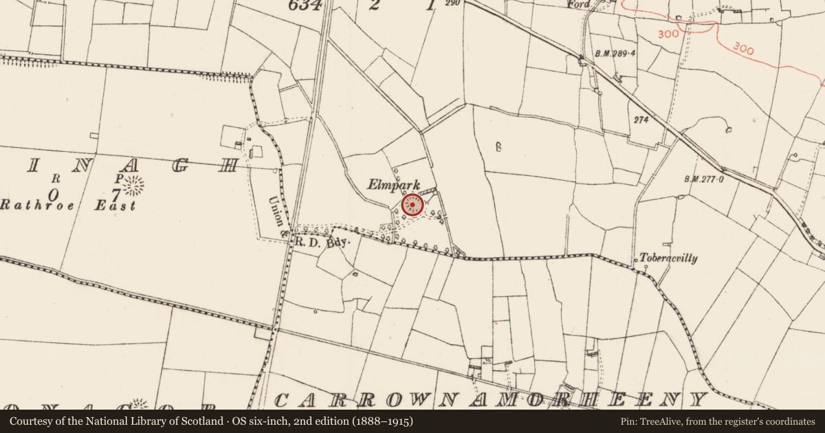 Ordnance Survey six-inch map, 2nd edition (1888–1915) covering the location of Ringfort - rath, Ballyroddy, County Roscommon, with a pin at the register's coordinates