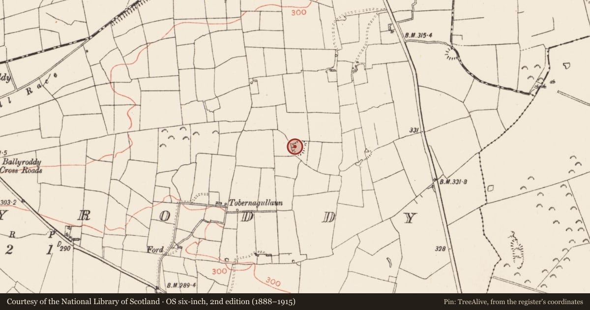 Ordnance Survey six-inch map, 2nd edition (1888–1915) covering the location of Ringfort - rath, Ballyroddy, County Roscommon, with a pin at the register's coordinates