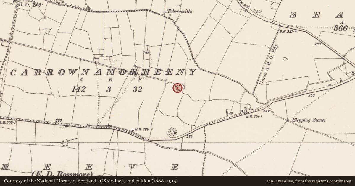 Ordnance Survey six-inch map, 2nd edition (1888–1915) covering the location of Ringfort - rath, Carrownamorheeny, County Roscommon, with a pin at the register's coordinates