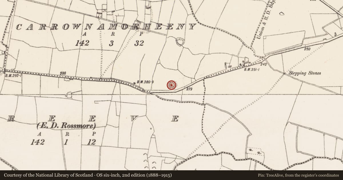 Ordnance Survey six-inch map, 2nd edition (1888–1915) covering the location of Ringfort - rath, Carrownamorheeny, County Roscommon, with a pin at the register's coordinates