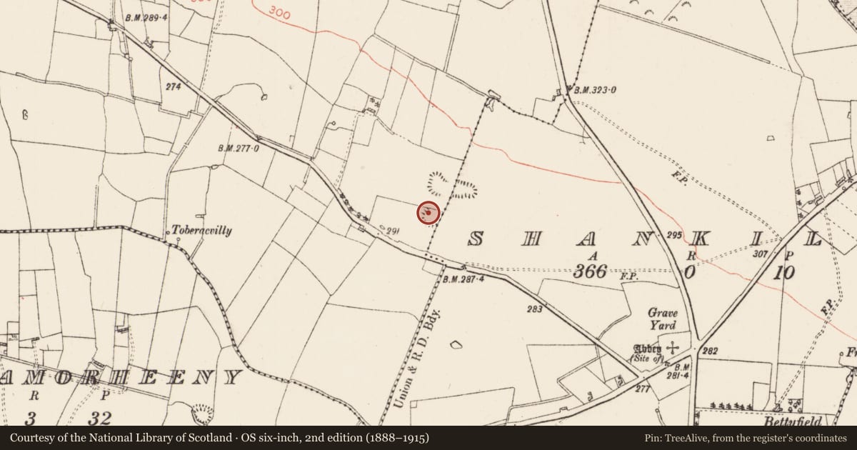 Ordnance Survey six-inch map, 2nd edition (1888–1915) covering the location of Ringfort - rath, Ballyroddy, County Roscommon, with a pin at the register's coordinates