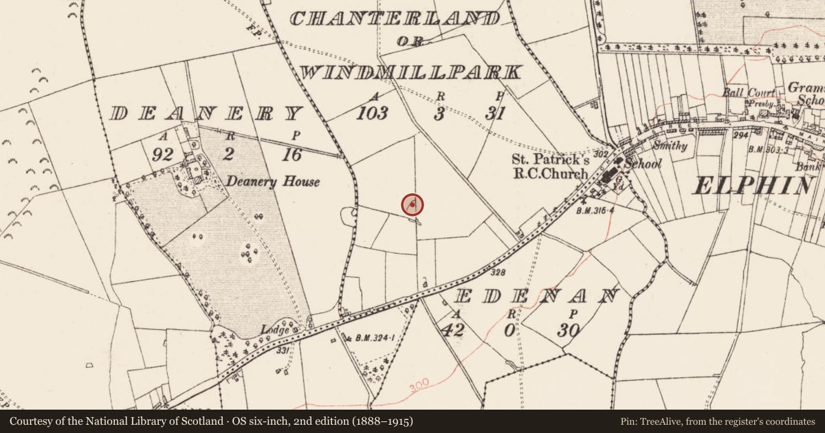 Ordnance Survey six-inch map, 2nd edition (1888–1915) covering the location of Ringfort - rath, Chanterland Or Windmillpark, County Roscommon, with a pin at the register's coordinates