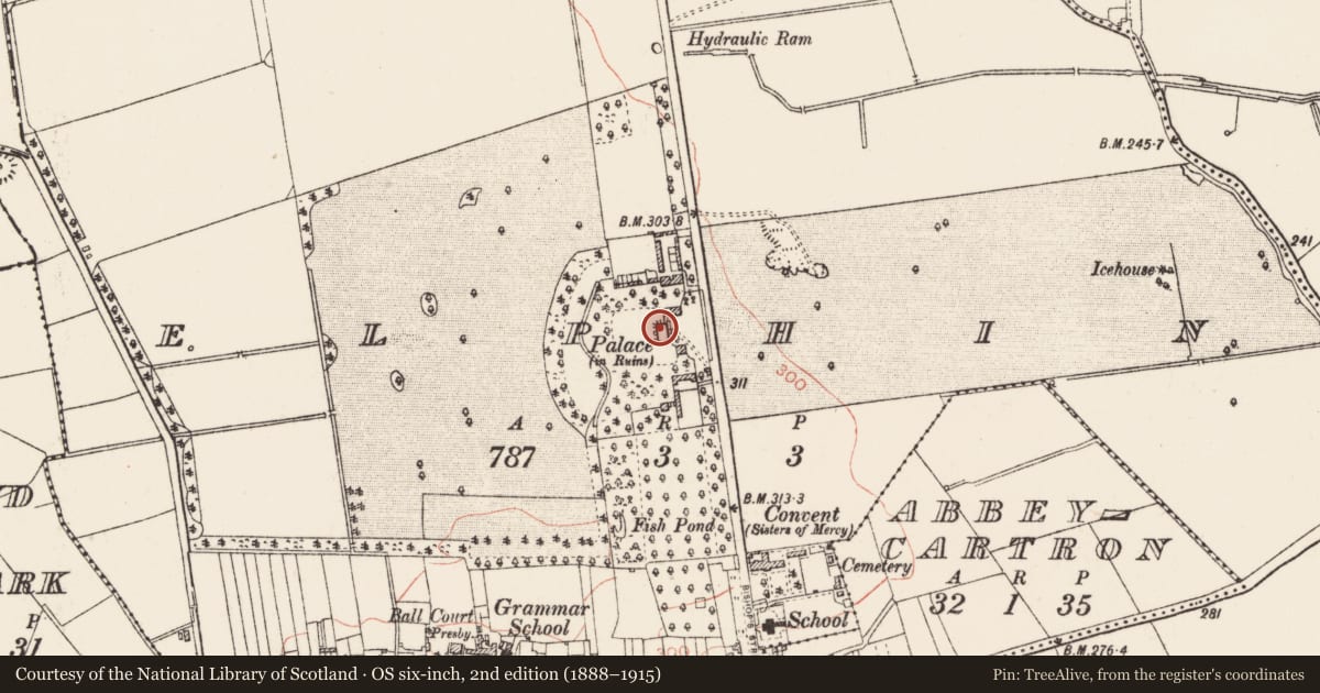 Ordnance Survey six-inch map, 2nd edition (1888–1915) covering the location of Ecclesiastical residence, Elphin, County Roscommon, with a pin at the register's coordinates