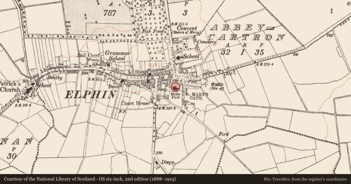 Ordnance Survey six-inch map, 2nd edition (1888–1915) covering the location of Wall monument, Elphin, County Roscommon, with a pin at the register's coordinates