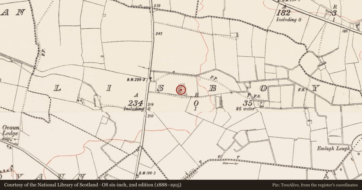 Ordnance Survey six-inch map, 2nd edition (1888–1915) covering the location of Moated site, Lisboy, County Roscommon, with a pin at the register's coordinates