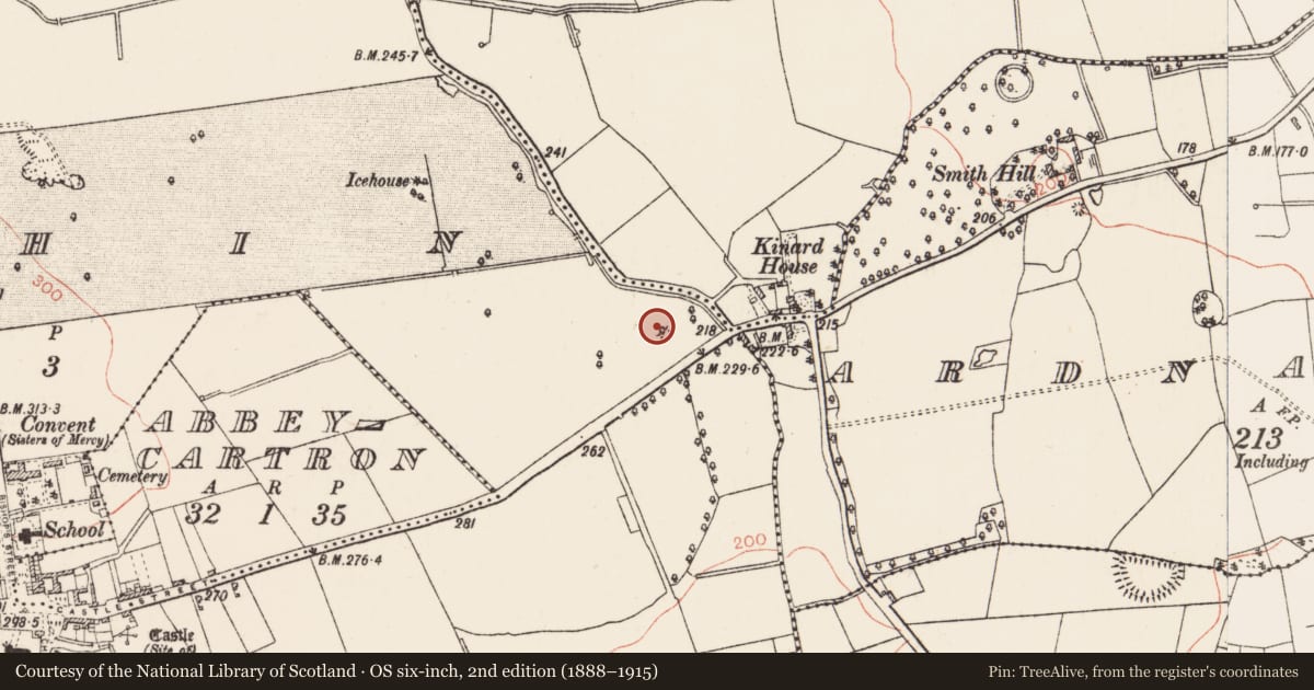 Ordnance Survey six-inch map, 2nd edition (1888–1915) covering the location of Enclosure, Elphin, County Roscommon, with a pin at the register's coordinates
