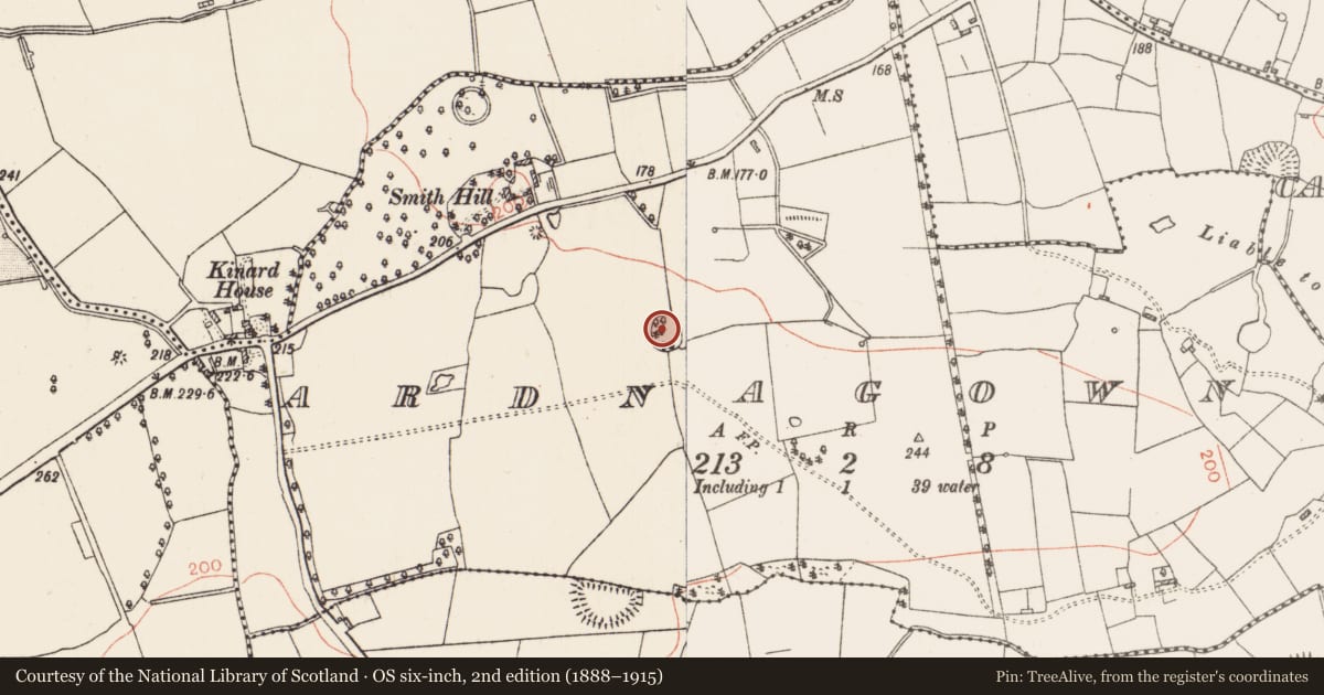 Ordnance Survey six-inch map, 2nd edition (1888–1915) covering the location of Designed landscape - tree-ring, Ardnagowna, County Roscommon, with a pin at the register's coordinates