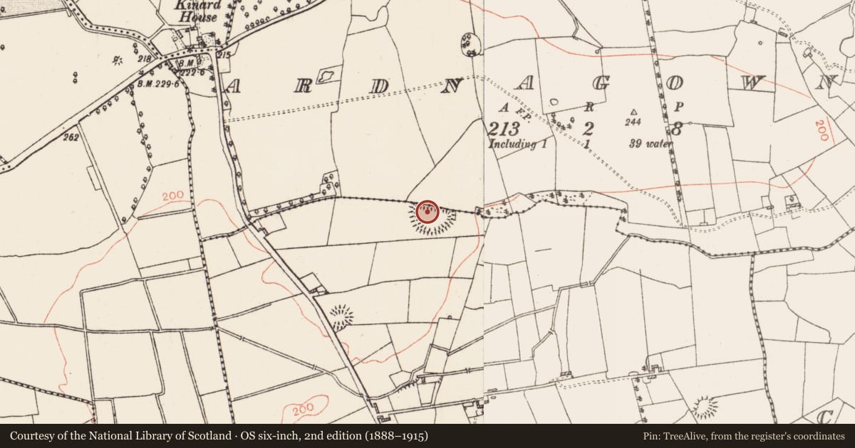Ordnance Survey six-inch map, 2nd edition (1888–1915) covering the location of Enclosure - large enclosure, Ardnagowna, Carrownurlar (Roscommon By. ), County Roscommon, with a pin at the register's coordinates
