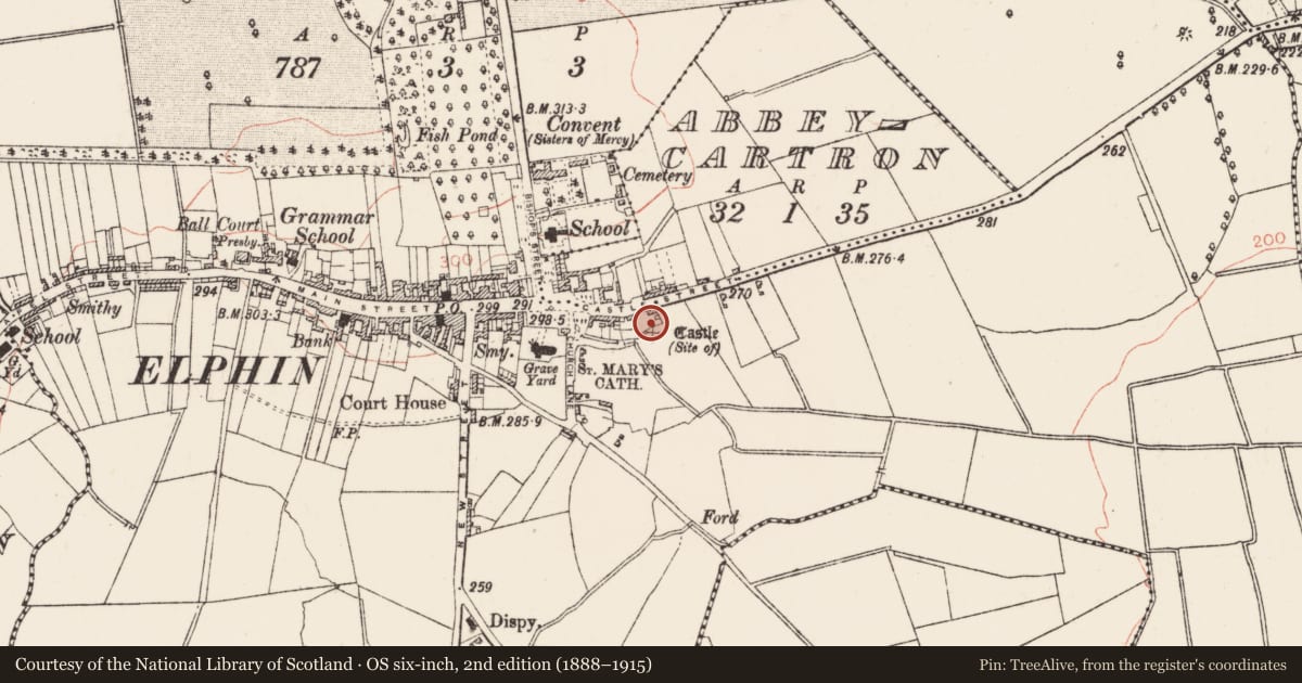 Ordnance Survey six-inch map, 2nd edition (1888–1915) covering the location of Religious house - Augustinian canons, Abbeycartron, County Roscommon, with a pin at the register's coordinates