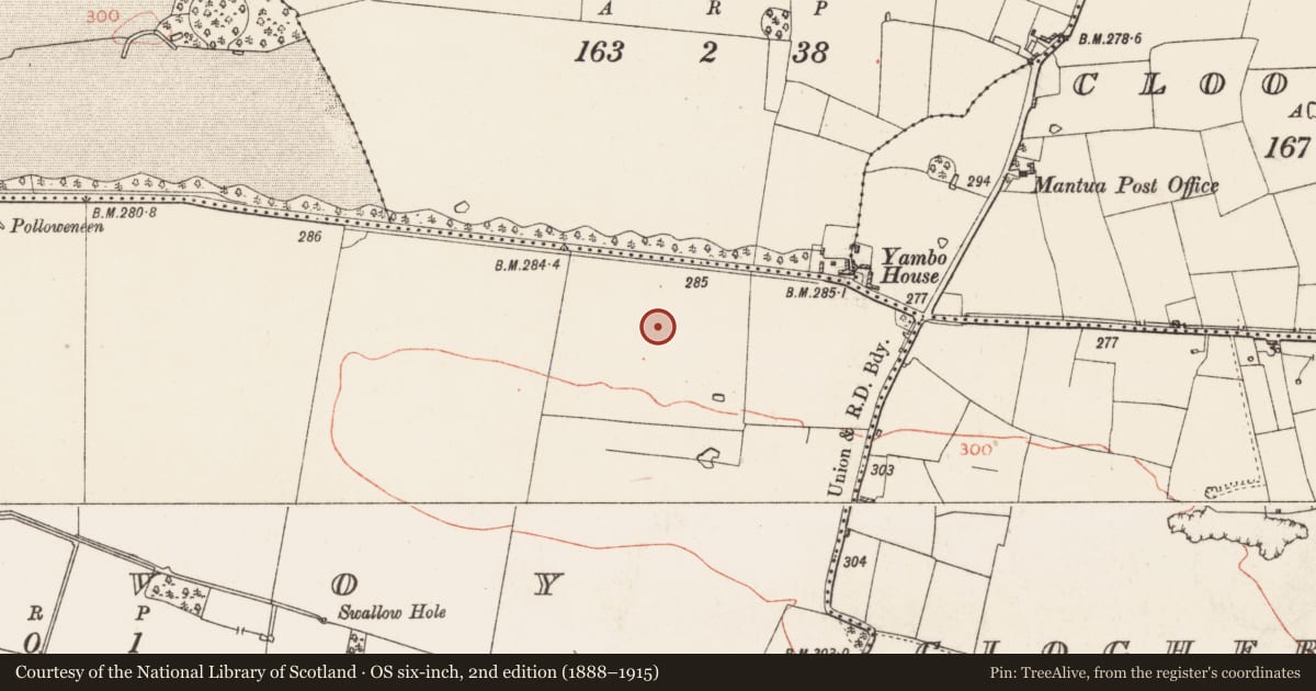 Ordnance Survey six-inch map, 2nd edition (1888–1915) covering the location of Pitfield, Kilvoy, County Roscommon, with a pin at the register's coordinates