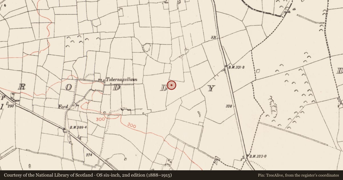 Ordnance Survey six-inch map, 2nd edition (1888–1915) covering the location of Ringfort - rath, Ballyroddy, County Roscommon, with a pin at the register's coordinates