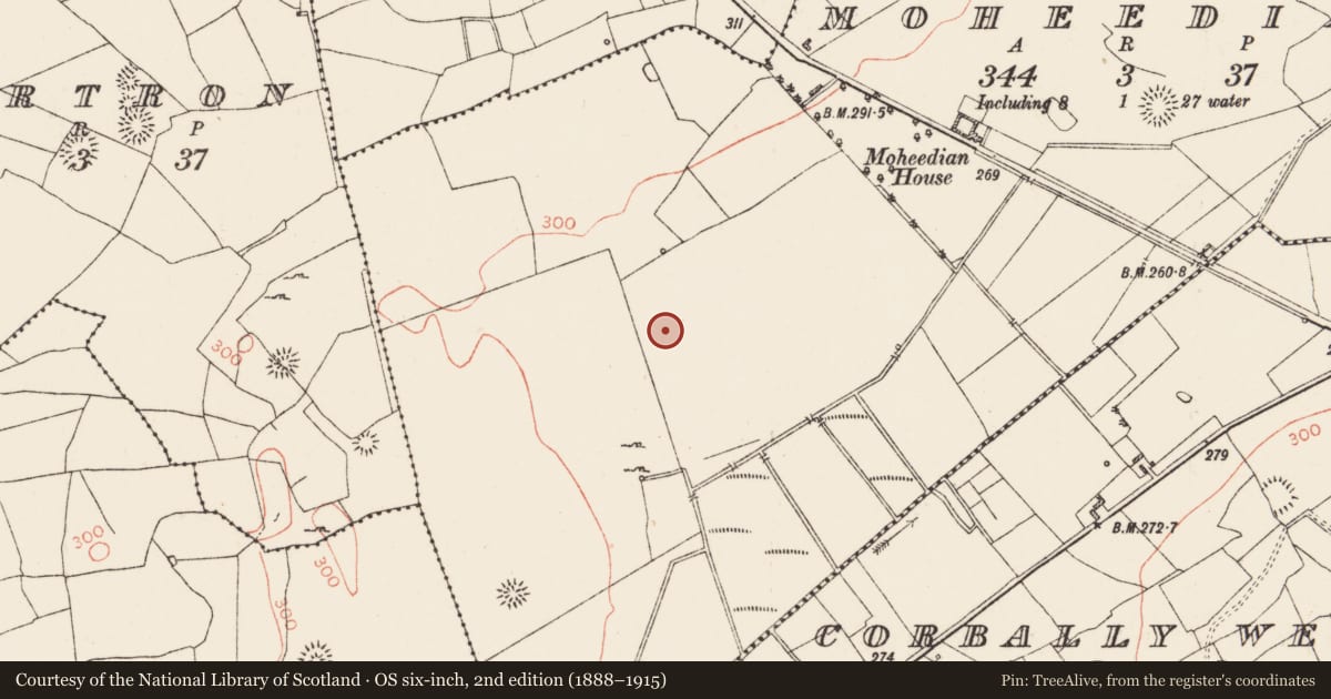 Ordnance Survey six-inch map, 2nd edition (1888–1915) covering the location of Ringfort - rath, Moheedian, County Roscommon, with a pin at the register's coordinates