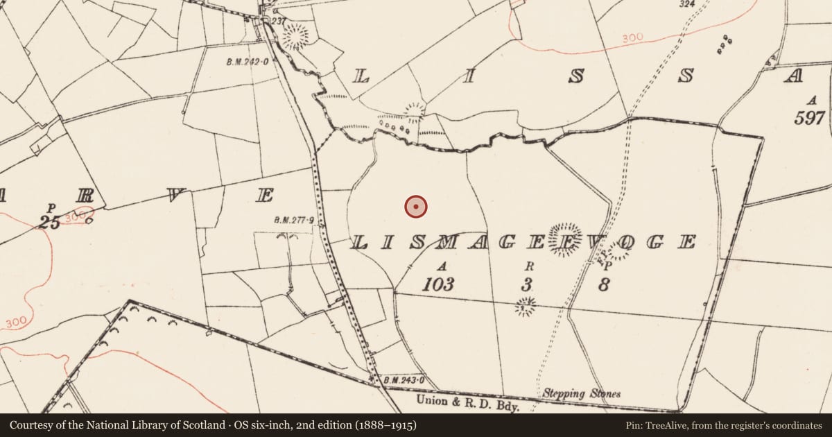 Ordnance Survey six-inch map, 2nd edition (1888–1915) covering the location of Ringfort - rath, Lismageevoge, County Roscommon, with a pin at the register's coordinates