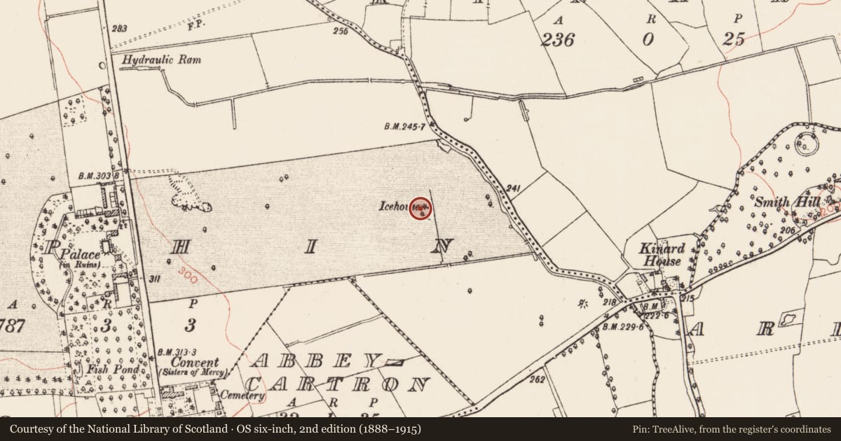Ordnance Survey six-inch map, 2nd edition (1888–1915) covering the location of Ringfort - rath, Elphin, County Roscommon, with a pin at the register's coordinates