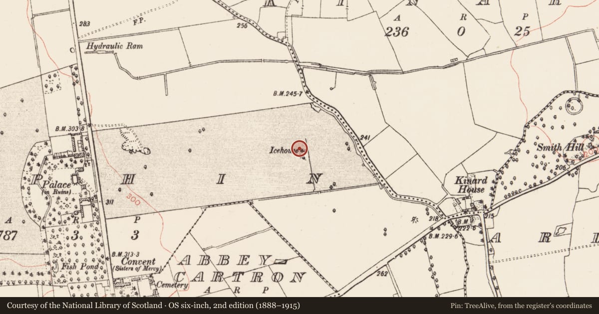 Ordnance Survey six-inch map, 2nd edition (1888–1915) covering the location of Icehouse, Elphin, County Roscommon, with a pin at the register's coordinates