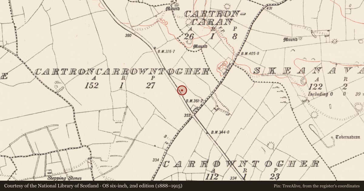 Ordnance Survey six-inch map, 2nd edition (1888–1915) covering the location of Ringfort - rath, Cartroncarrowntogher, County Roscommon, with a pin at the register's coordinates