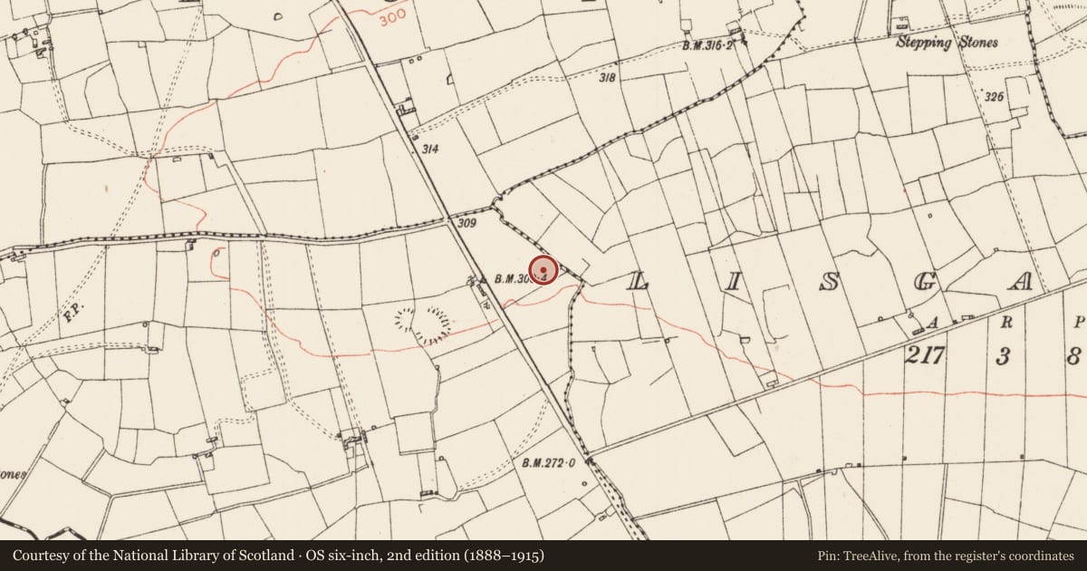 Ordnance Survey six-inch map, 2nd edition (1888–1915) covering the location of Ringfort - rath, Lismacool, County Roscommon, with a pin at the register's coordinates
