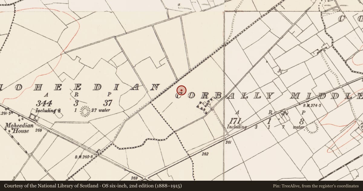 Ordnance Survey six-inch map, 2nd edition (1888–1915) covering the location of Barrow - ring-barrow, Corbally Middle, County Roscommon, with a pin at the register's coordinates