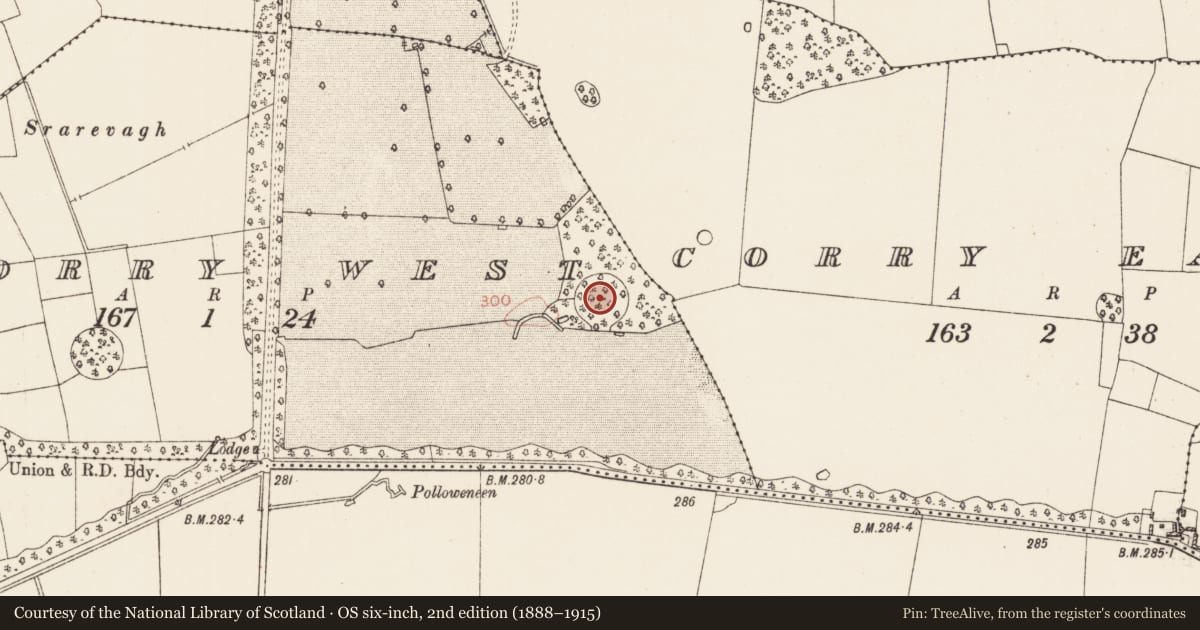 Ordnance Survey six-inch map, 2nd edition (1888–1915) covering the location of Designed landscape - tree-ring, Corry West, County Roscommon, with a pin at the register's coordinates