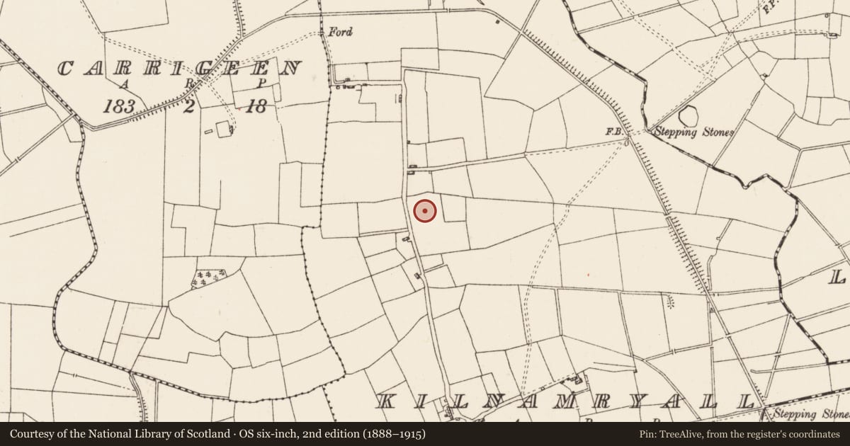 Ordnance Survey six-inch map, 2nd edition (1888–1915) covering the location of Ringfort - rath, Kilnamryall, County Roscommon, with a pin at the register's coordinates