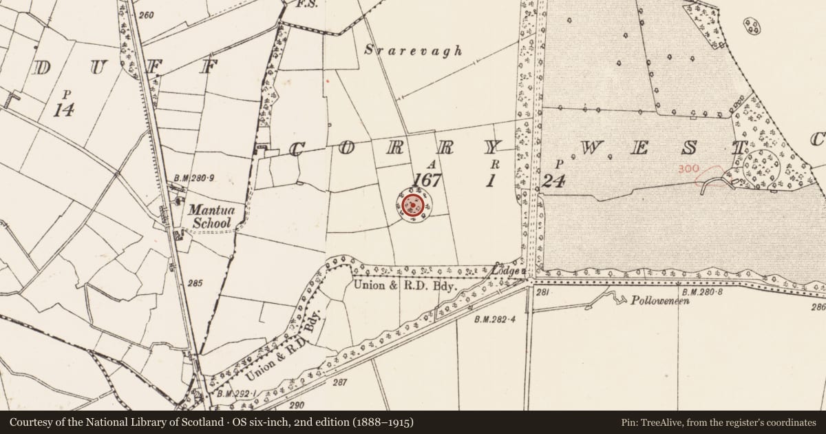 Ordnance Survey six-inch map, 2nd edition (1888–1915) covering the location of Enclosure, Corry West, County Roscommon, with a pin at the register's coordinates