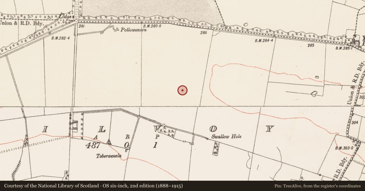 Ordnance Survey six-inch map, 2nd edition (1888–1915) covering the location of Field system, Kilvoy, County Roscommon, with a pin at the register's coordinates