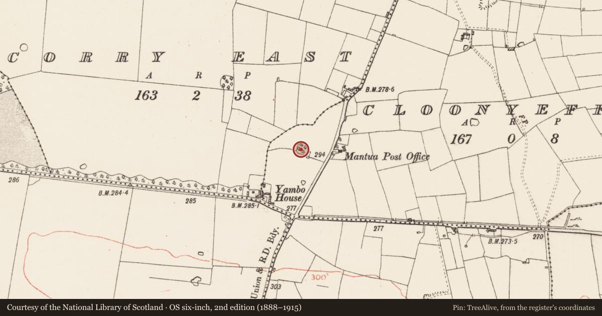 Ordnance Survey six-inch map, 2nd edition (1888–1915) covering the location of Ringfort - rath, Cloonyeffer, County Roscommon, with a pin at the register's coordinates