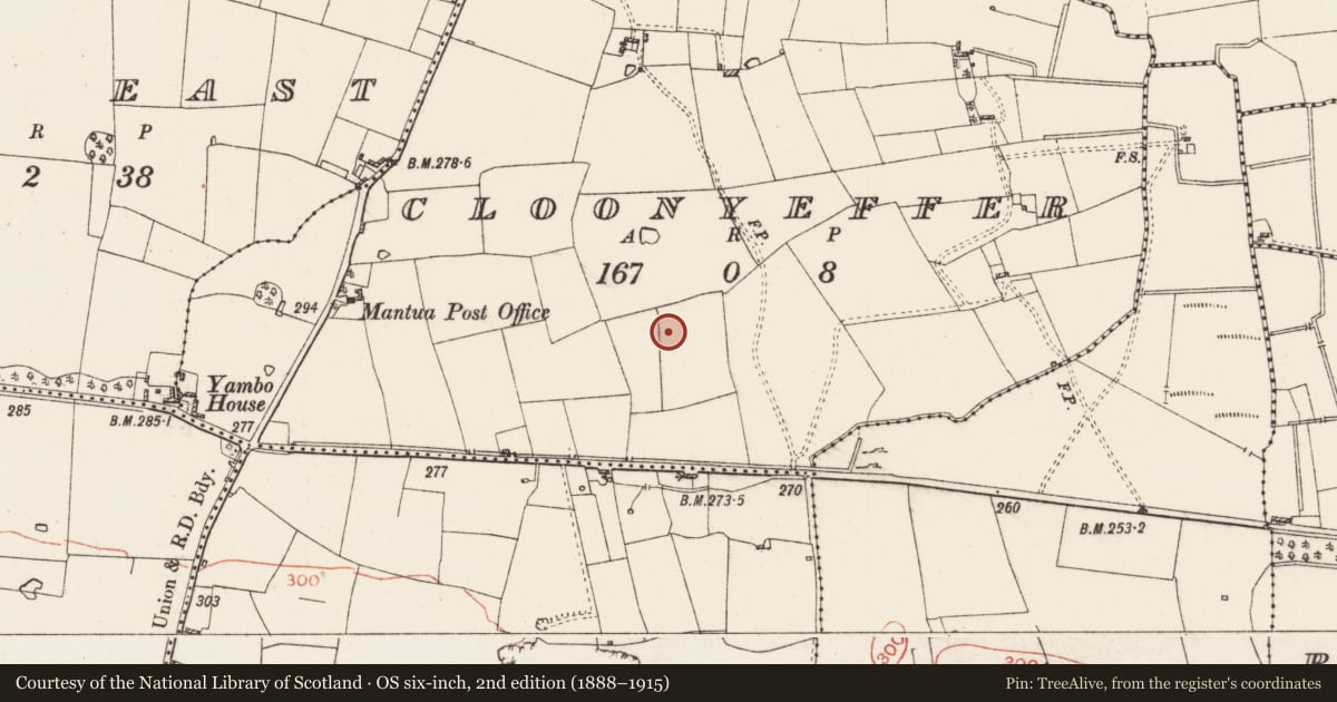 Ordnance Survey six-inch map, 2nd edition (1888–1915) covering the location of Barrow - ring-barrow, Cloonyeffer, County Roscommon, with a pin at the register's coordinates