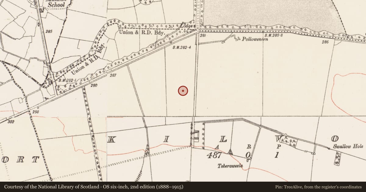Ordnance Survey six-inch map, 2nd edition (1888–1915) covering the location of Mound, Kilvoy, County Roscommon, with a pin at the register's coordinates