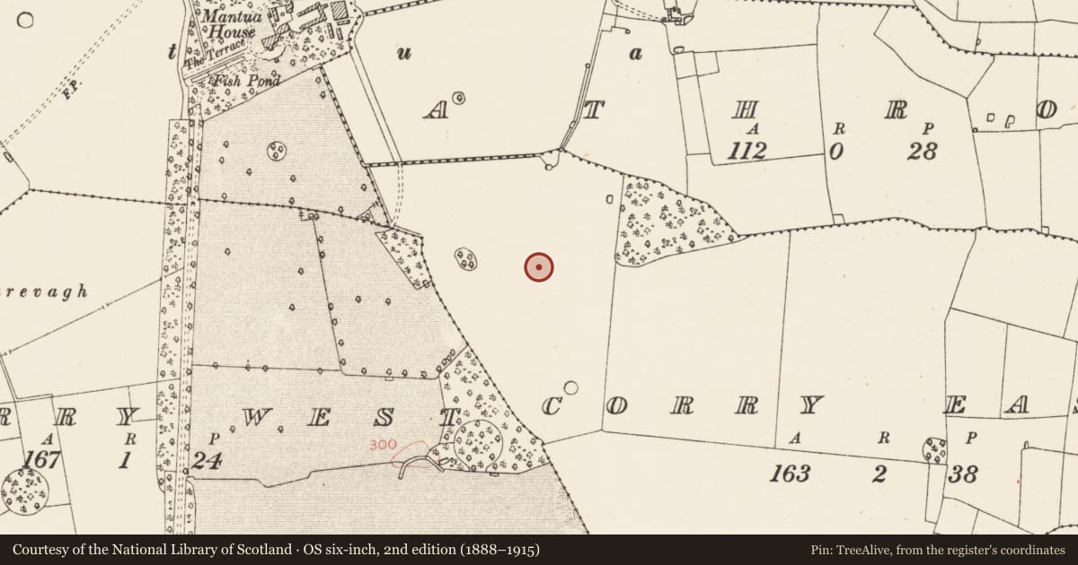 Ordnance Survey six-inch map, 2nd edition (1888–1915) covering the location of Enclosure, Corry East, County Roscommon, with a pin at the register's coordinates