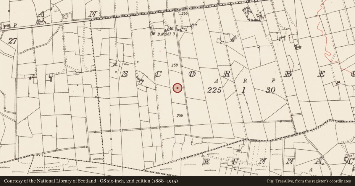 Ordnance Survey six-inch map, 2nd edition (1888–1915) covering the location of Enclosure, Scor Beg, County Roscommon, with a pin at the register's coordinates